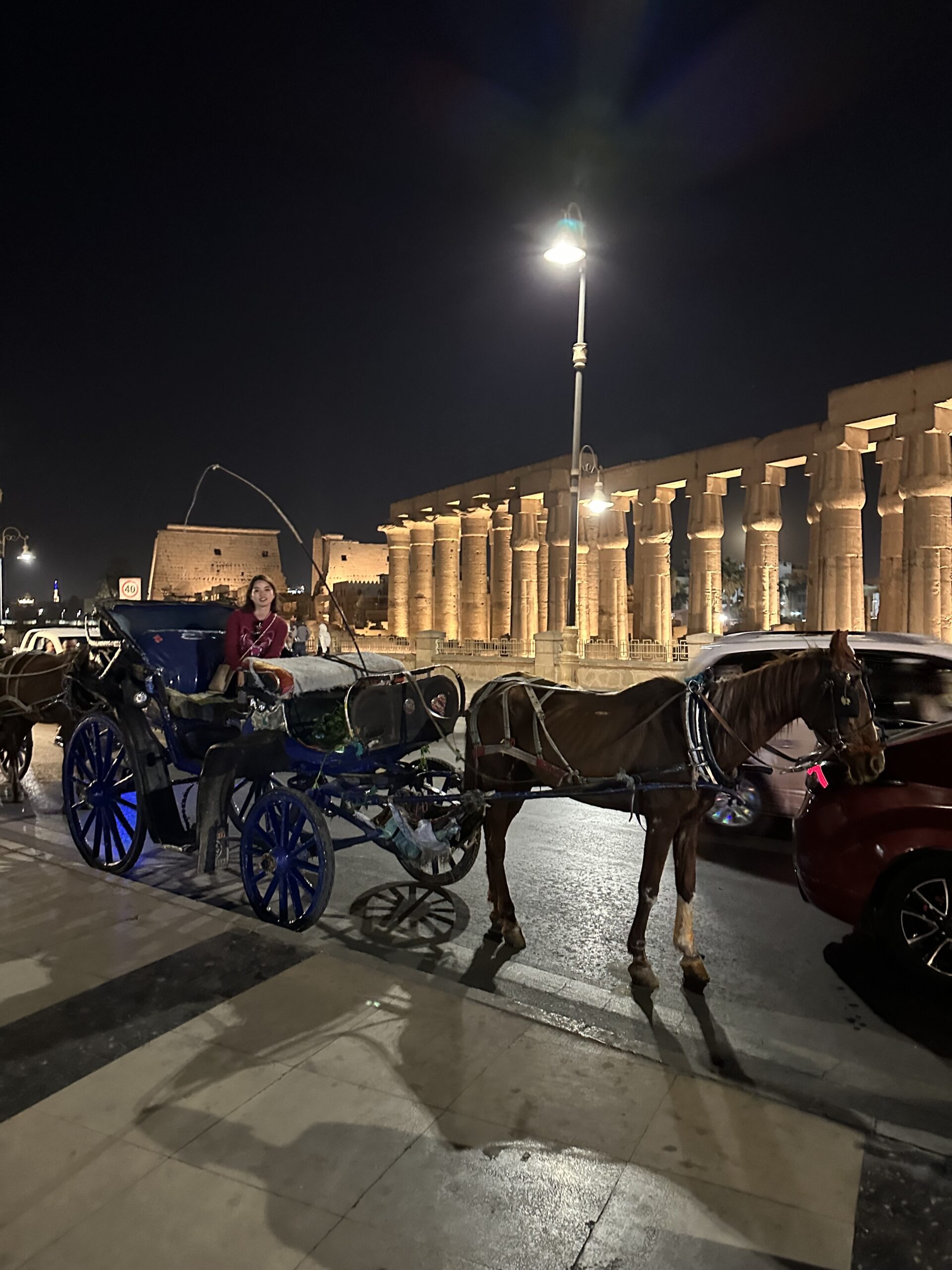 ルクソール神殿の前で馬車と撮った写真